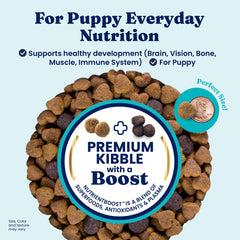 Solid Gold puppy food kibble texture closeup highlighting grain-free formula
