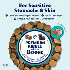 Solid Gold salmon dog food bowl ready for digestion-friendly meals