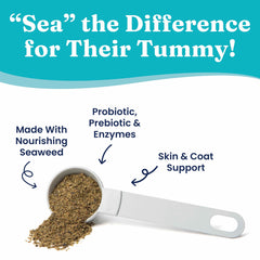 Solid Gold SeaMeal cat probiotic bottle highlighting feline digestive support.