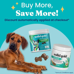 Solid Gold SeaMeal powder on meal demonstrates digestive support and nutrient absorption.