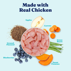 Solid Gold weight-management wet dog food green beans close-up; fiber-rich vegetables aid digestion.