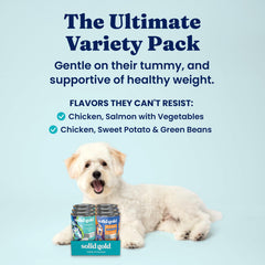 Solid Gold wet dog food closeup-chunks highlights real protein and appealing texture.