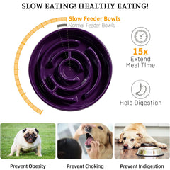 Soniuong Purple dish is non-porous and easy to clean after meals.