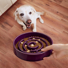 Soniuong Slow feeder base provides stable dining during enthusiastic pawing.