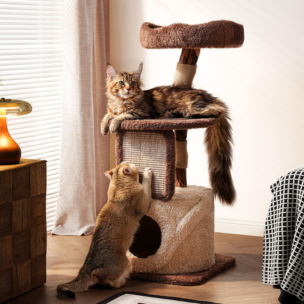Sopapets 40-inch cat-tree base provides a sturdy foundation for indoor cats daily play space.