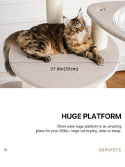 Sopapets cat tree with perch, house, and condo for lounging and retreat.