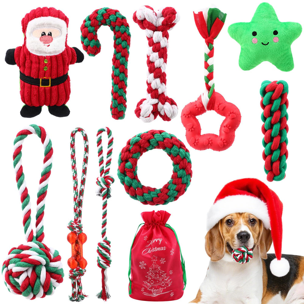 Soulchen Christmas dog toy set with festive textures for interactive play and chew sessions