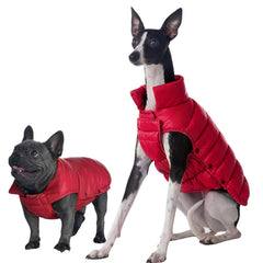 Space Lion dog puffer jacket front view shows secure fit for chilly walks