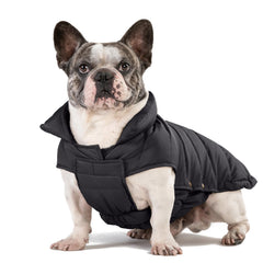 SPACE LION dog puffer jacket front view demonstrates warmth for cold walks.