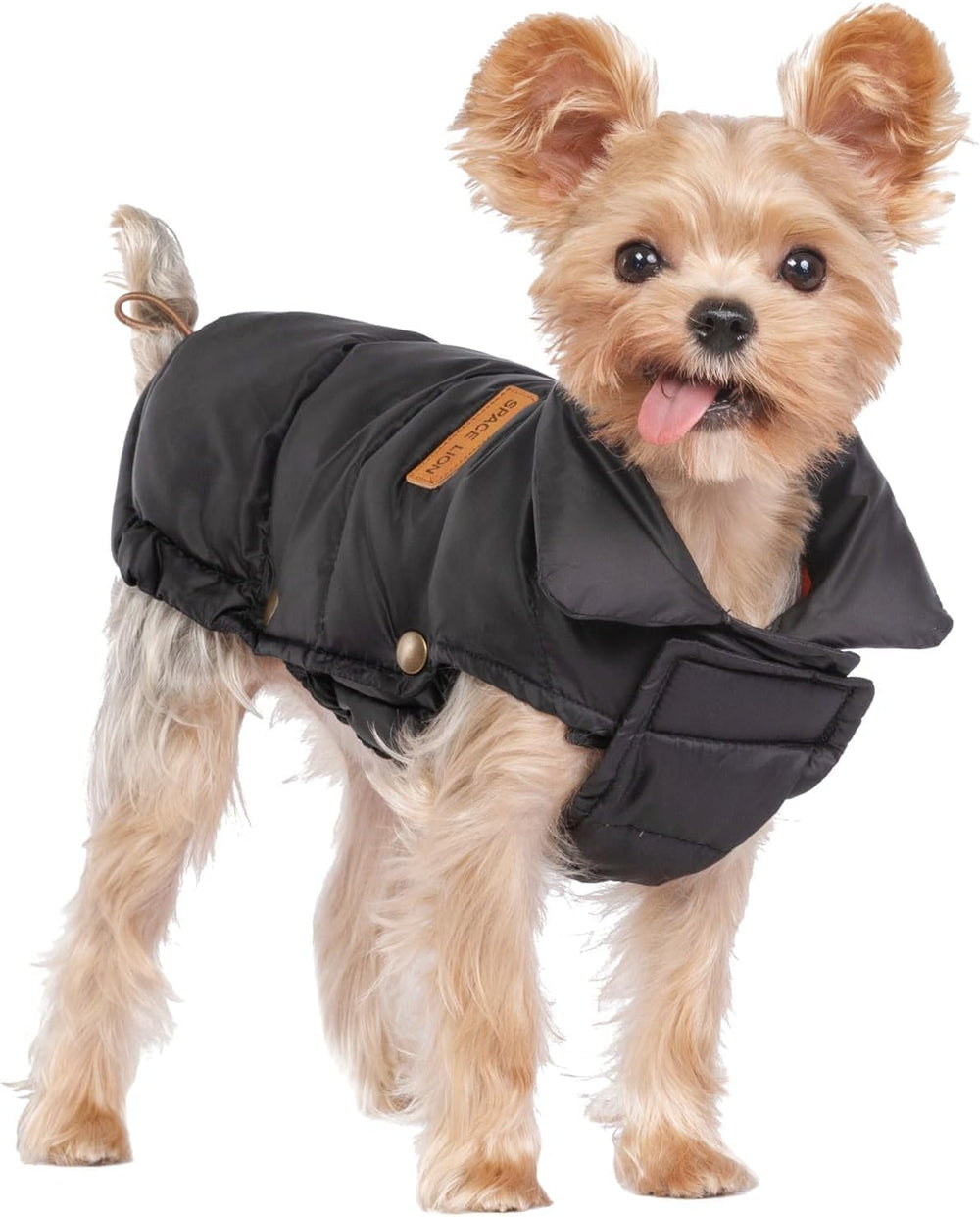 SPACE LION dog puffer jacket front view shows cozy warmth for cold walks.