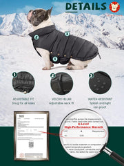 SPACE LION dog puffer jacket on dog wearing during a chilly outdoor walk.