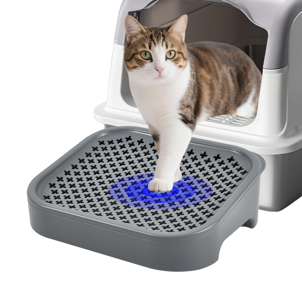 SpaceTime elevated cat litter mat ramp aiding easy access for kittens and seniors