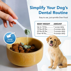 Spanielbuns dental powder jar highlights probiotic blend for ongoing oral support