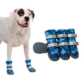 Spark Paws blue camo dog shoes on a dog for all-terrain adventures.