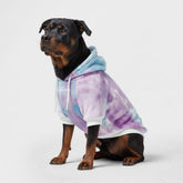 Spark Paws dog hoodie in 90s retro sky dye front view with cozy fleece interior.