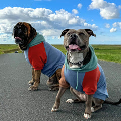 Spark Paws Dog Hoodie Alpine calming fleece interior keeps dogs cozy on chilly days