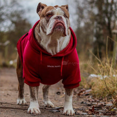Spark Paws dog hoodie Burgundy back view emphasizes broad-chest design