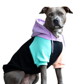 Spark Paws dog hoodie butter-stretch closeup highlights flexible comfort