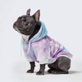 Spark Paws dog hoodie with butter-stretch fabric offers flexible movement during playtime.