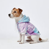 Spark Paws Dog Hoodie butter-stretch fabric for flexible comfort.