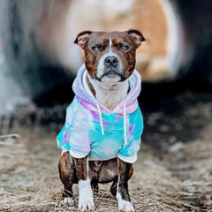 Spark Paws calming fleece interior provides cozy warmth during chilly walks.