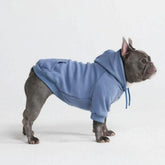 Spark Paws dog hoodie front view shows soft butter-stretch fabric for movement
