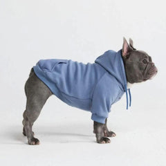 Spark Paws dog hoodie front view shows soft butter-stretch fabric for movement