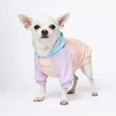 Spark Paws dog hoodie front view shows butter-stretch fabric for flexible movement during daily walks.