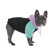 Spark Paws dog hoodie front view shows butter-stretch fabric for flexible, all-day wear