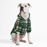 Spark Paws dog hoodie front view in green plaid for cozy, flexible mobility
