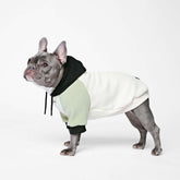 Spark Paws dog hoodie with soft fleece interior for cozy warmth during chilly walks.