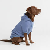 Spark Paws dog hoodie slate blue close-up shows buttery-soft stretch fabric for comfy movement