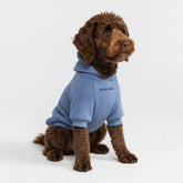 Spark Paws dog hoodie slate blue front view shows soft butter-stretch fabric for flexible movement