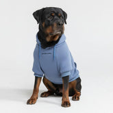 Spark Paws Dog Hoodie butter-stretch fabric close-up for flexible comfort