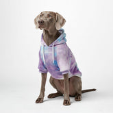 Spark Paws dog hoodie with soft butter-stretch fabric for flexible movement.