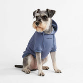 Spark Paws dog hoodie showing soft-butter-stretch fabric for everyday comfort.