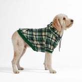 Spark Paws dog hoodie soft-fabric closeup highlighting butter-stretch comfort