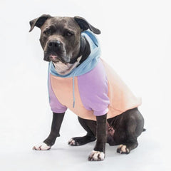 Spark Paws dog hoodie soft-fabric offers comfortable daily wear for dogs.