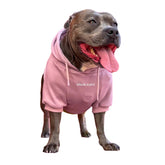 Spark Paws dog hoodie with calming fleece interior for cozy warmth during chilly walks.