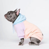 Spark Paws dog hoodie with soft fleece inside for cozy warmth