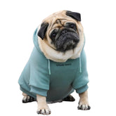 Spark Paws dog hoodie teal butter-stretch fabric supports flexible movement