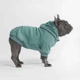 Spark Paws dog hoodie teal XL front view emphasizes soft butter-stretch fabric for comfort