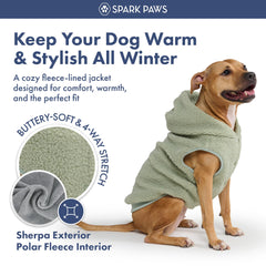 Spark Paws dog jacket hood detail highlighting secure hood in action