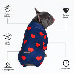 Spark Paws dog pajama precision-fit on diverse breeds for secure, comfortable sleep.