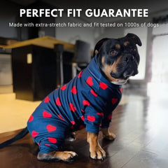 Spark Paws dog pajama rear V-cut enables easy potty breaks.