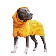Spark Paws raincoat full-body coverage shields dogs from rain and wind.