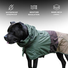 Spark Paws dog raincoat reflective strips for safer nighttime strolls