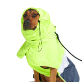 Spark Paws raincoat on dog delivering waterproof full-coverage protection during a rainy walk.