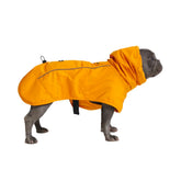 Spark Paws dog raincoat with full-coverage waterproof shell for rainy walks.
