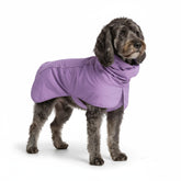 Spark Paws dog raincoat worn purple for rain protection on walks.